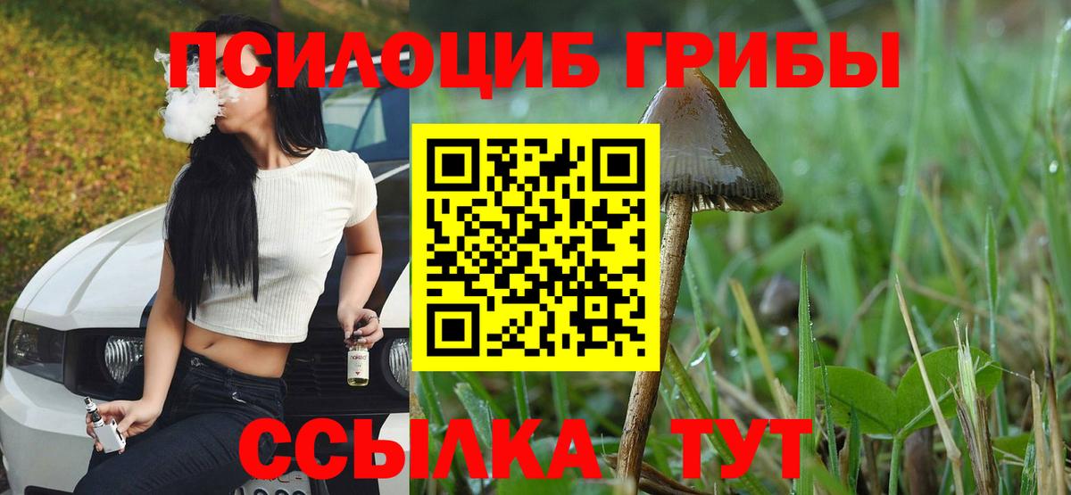 Галлюциногенные грибы MAGIC MUSHROOMS  Вход с VPN  Новодвинск 