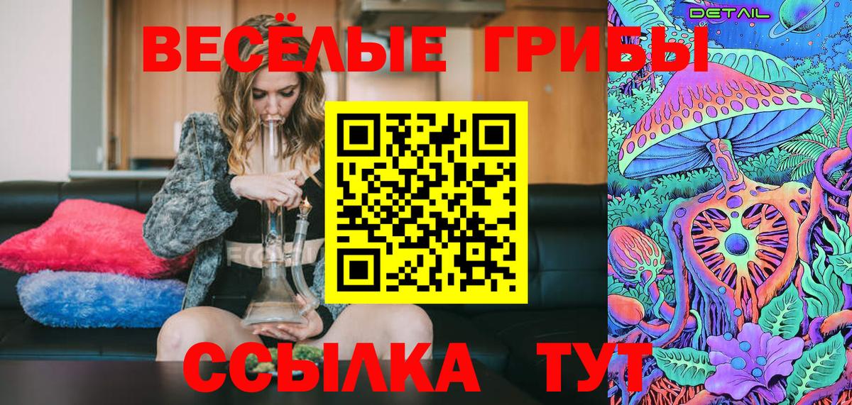 Псилоцибиновые грибы Cubensis Новодвинск
